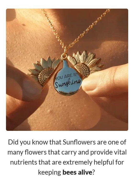 You Are My Sunshine Necklace